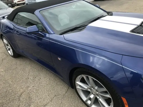 Paint Protection Film - Image 4