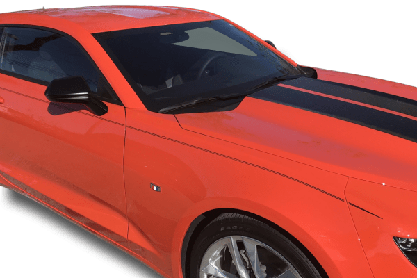 Paint Protection Film - Image 2